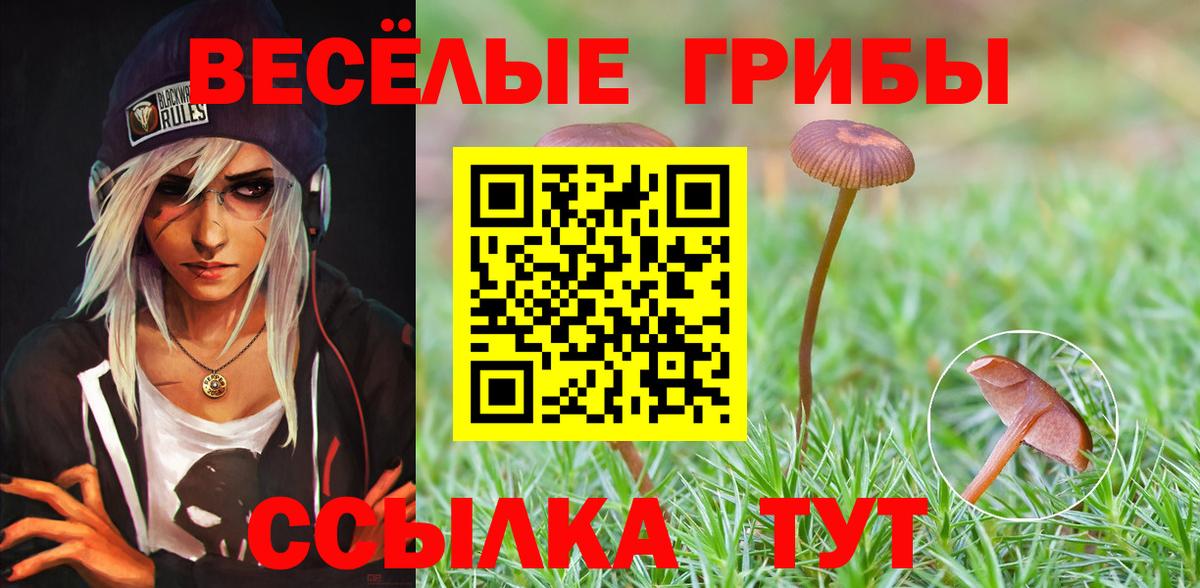 Псилоцибиновые грибы GOLDEN TEACHER Сальск