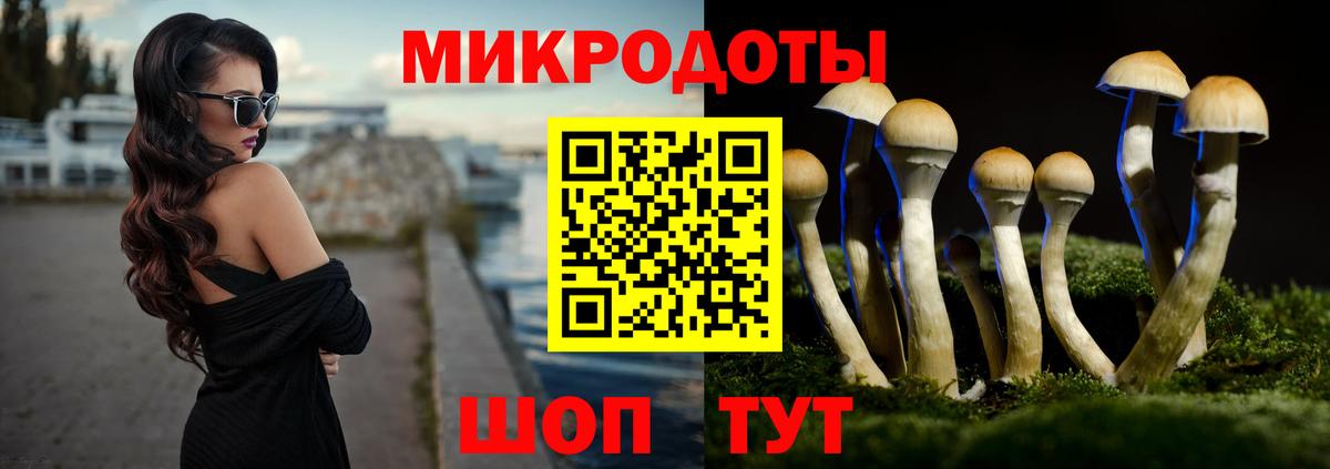 Псилоцибиновые грибы прущие грибы  Вход с VPN  Сальск 